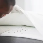 Top 5 Signs You Need Pest Control Services in Nairobi – Don’t Ignore These!