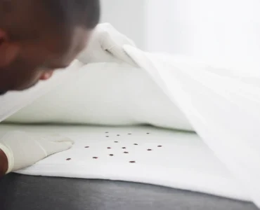 pest control services in Nairobi