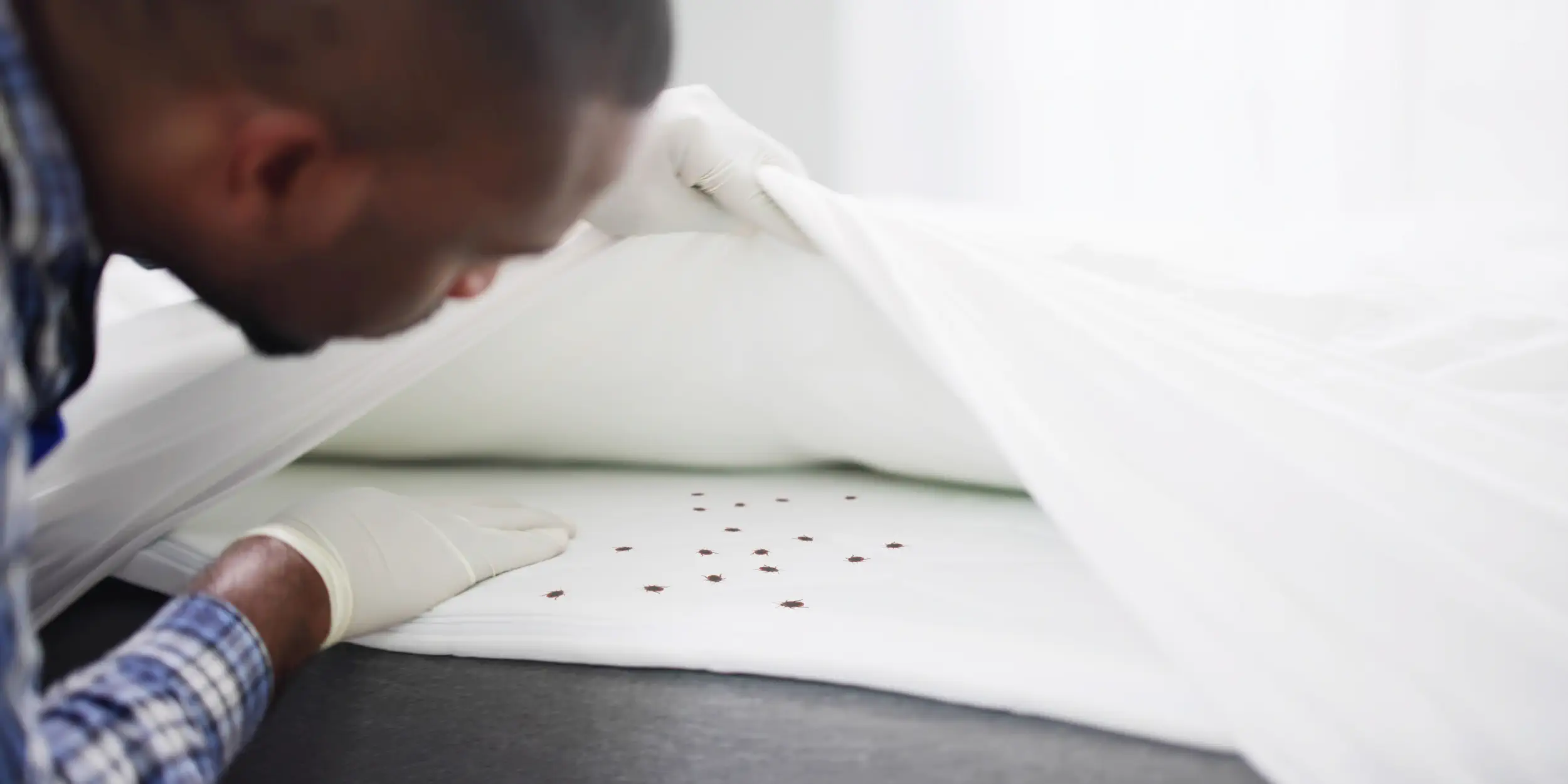 pest control services in Nairobi