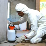 Pest Control Nairobi: Top Home Strategies for 2025
